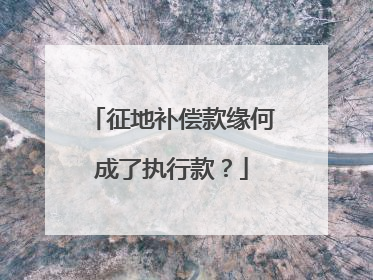 征地补偿款缘何成了执行款？