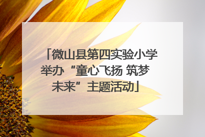 微山县第四实验小学举办“童心飞扬 筑梦未来”主题活动