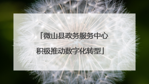 微山县政务服务中心积极推动数字化转型