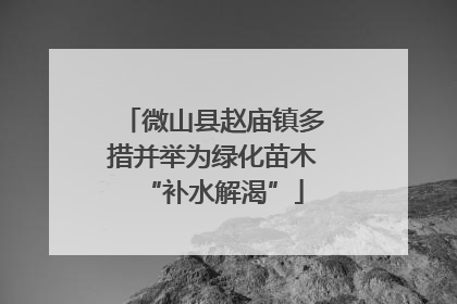 微山县赵庙镇多措并举为绿化苗木“补水解渴”