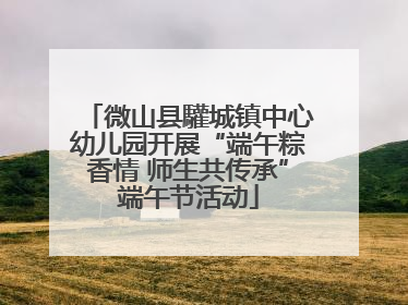 微山县驩城镇中心幼儿园开展“端午粽香情 师生共传承”端午节活动