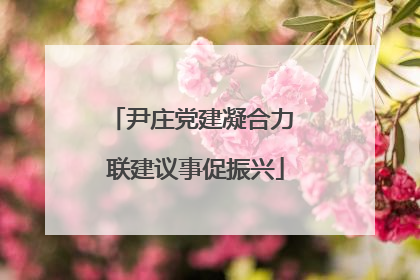 尹庄党建凝合力 联建议事促振兴