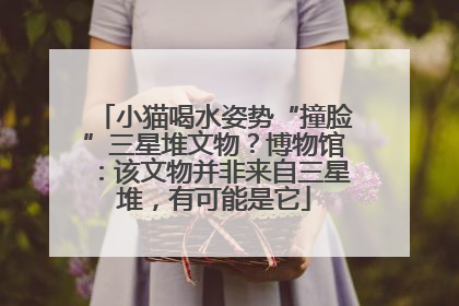 小猫喝水姿势“撞脸”三星堆文物？博物馆：该文物并非来自三星堆，有可能是它