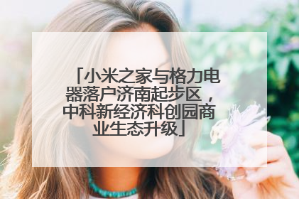 小米之家与格力电器落户济南起步区，中科新经济科创园商业生态升级