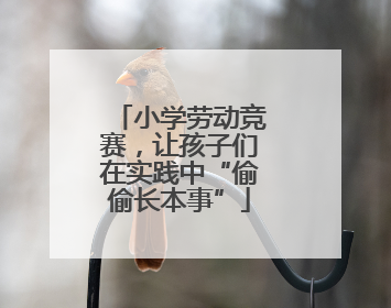 小学劳动竞赛，让孩子们在实践中“偷偷长本事”