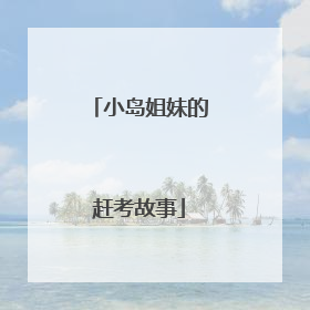 小岛姐妹的赶考故事