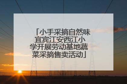 小手采摘自然味 宜宾江安西江小学开展劳动基地蔬菜采摘售卖活动