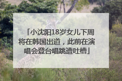 小沈阳18岁女儿下周将在韩国出道，此前在演唱会登台唱跳遭吐槽