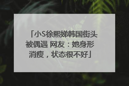 小S徐熙娣韩国街头被偶遇 网友：她身形消瘦，状态很不好