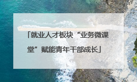 就业人才板块“业务微课堂”赋能青年干部成长