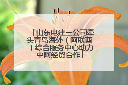 山东电建三公司牵头青岛海外（阿联酋）综合服务中心助力中阿经贸合作
