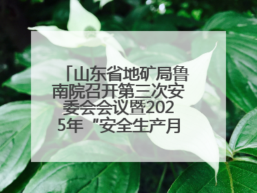 山东省地矿局鲁南院召开第三次安委会会议暨2025年“安全生产月”活动启动仪式