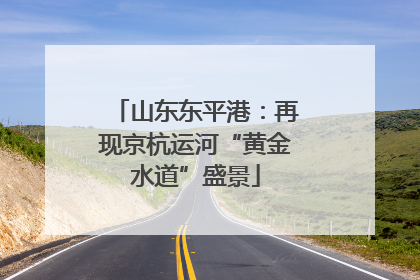山东东平港：再现京杭运河“黄金水道”盛景
