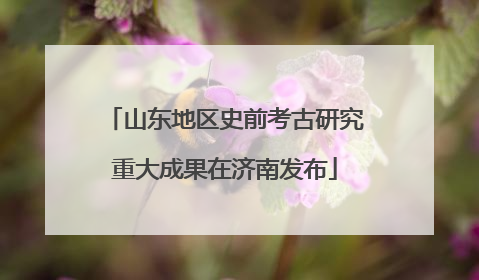 山东地区史前考古研究重大成果在济南发布
