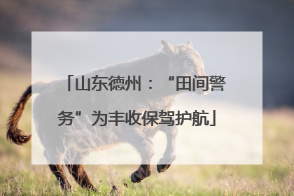 山东德州：“田间警务”为丰收保驾护航