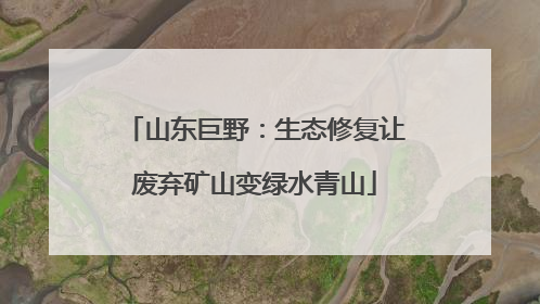 山东巨野：生态修复让废弃矿山变绿水青山