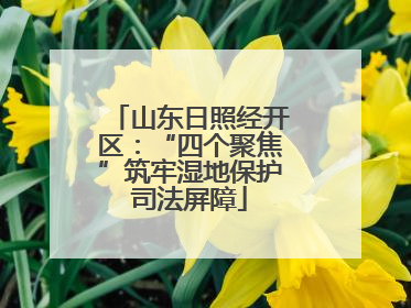 山东日照经开区：“四个聚焦”筑牢湿地保护司法屏障
