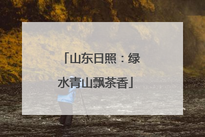 山东日照：绿水青山飘茶香