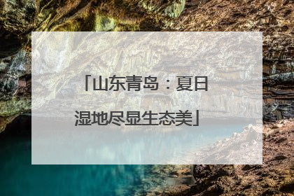 山东青岛：夏日湿地尽显生态美