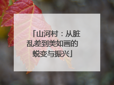 山河村：从脏乱差到美如画的蜕变与振兴
