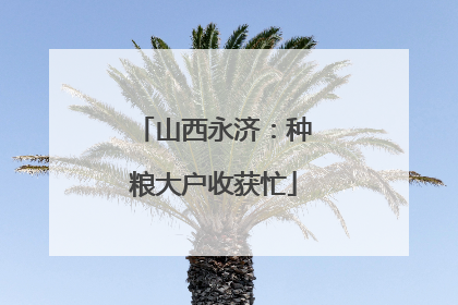 山西永济：种粮大户收获忙