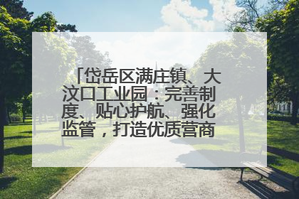 岱岳区满庄镇、大汶口工业园：完善制度、贴心护航、强化监管，打造优质营商“强磁场”