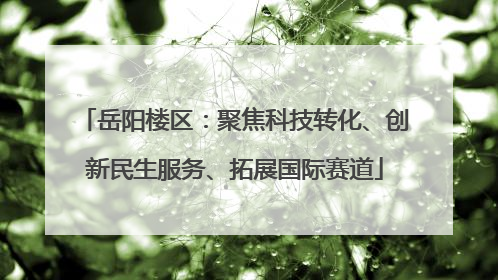 岳阳楼区：聚焦科技转化、创新民生服务、拓展国际赛道