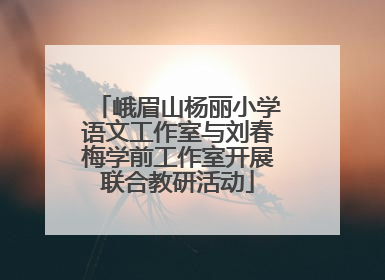 峨眉山杨丽小学语文工作室与刘春梅学前工作室开展联合教研活动