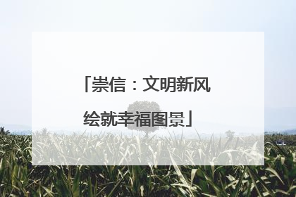 崇信：文明新风绘就幸福图景