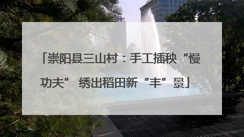 崇阳县三山村：手工插秧“慢功夫” 绣出稻田新“丰”景