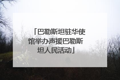 巴勒斯坦驻华使馆举办声援巴勒斯坦人民活动