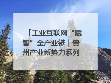 工业互联网“赋智”全产业链｜贵州产业新势力系列报道之八
