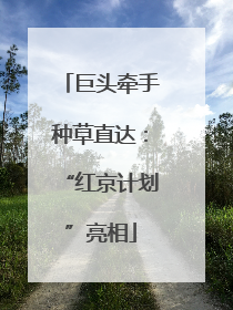 巨头牵手种草直达：“红京计划”亮相