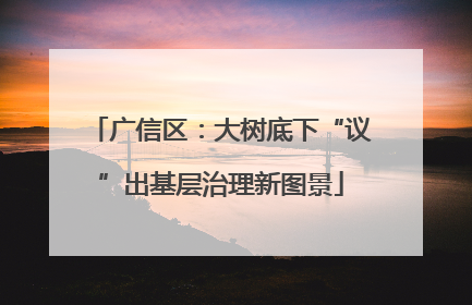 广信区：大树底下“议”出基层治理新图景