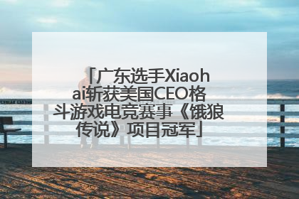 广东选手Xiaohai斩获美国CEO格斗游戏电竞赛事《饿狼传说》项目冠军