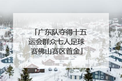 广东队夺得十五运会群众七人足球赛佛山赛区首金