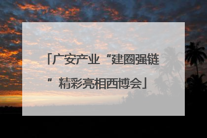 广安产业“建圈强链”精彩亮相西博会
