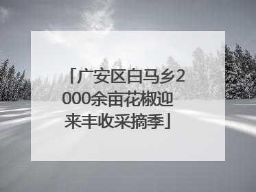 广安区白马乡2000余亩花椒迎来丰收采摘季