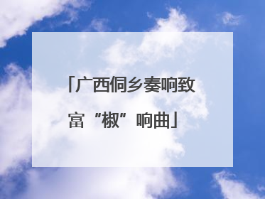 广西侗乡奏响致富“椒”响曲
