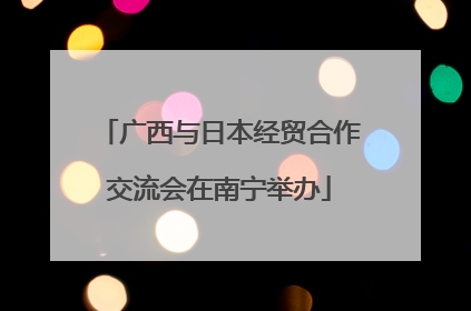 广西与日本经贸合作交流会在南宁举办