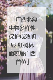 广西北海生物多样性保护成效明显 红树林面积居广西首位