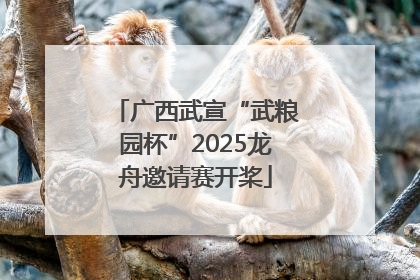 广西武宣“武粮园杯”2025龙舟邀请赛开桨