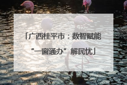 广西桂平市：数智赋能“一窗通办”解民忧