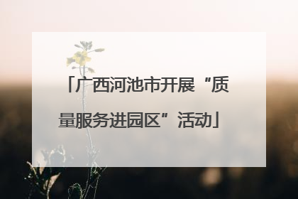 广西河池市开展“质量服务进园区”活动