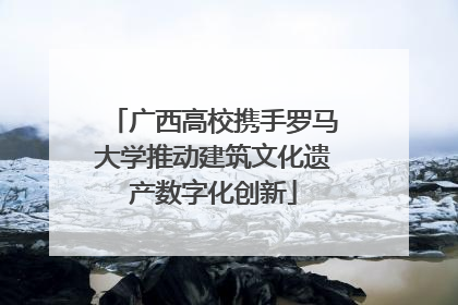 广西高校携手罗马大学推动建筑文化遗产数字化创新