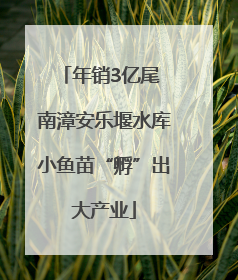 年销3亿尾 南漳安乐堰水库小鱼苗“孵”出大产业