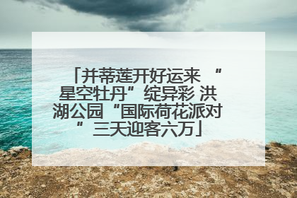 并蒂莲开好运来 “星空牡丹”绽异彩 洪湖公园“国际荷花派对”三天迎客六万