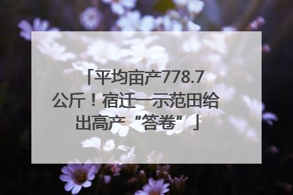 平均亩产778.7公斤！宿迁一示范田给出高产“答卷”