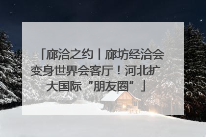 廊洽之约丨廊坊经洽会变身世界会客厅！河北扩大国际“朋友圈”