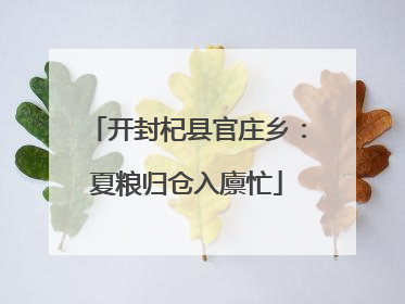 开封杞县官庄乡：夏粮归仓入廪忙